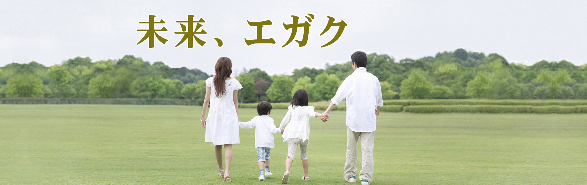 相続に強い税理士事務所フォークライアン